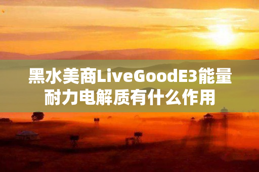 黑水美商LiveGoodE3能量耐力电解质有什么作用