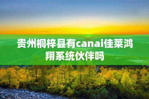 贵州桐梓县有canai佳莱鸿翔系统伙伴吗