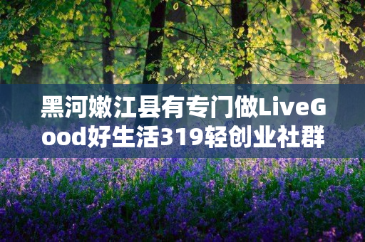 黑河嫩江县有专门做LiveGood好生活319轻创业社群的伙伴吗