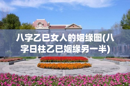 八字乙巳女人的姻缘图(八字日柱乙巳姻缘另一半)